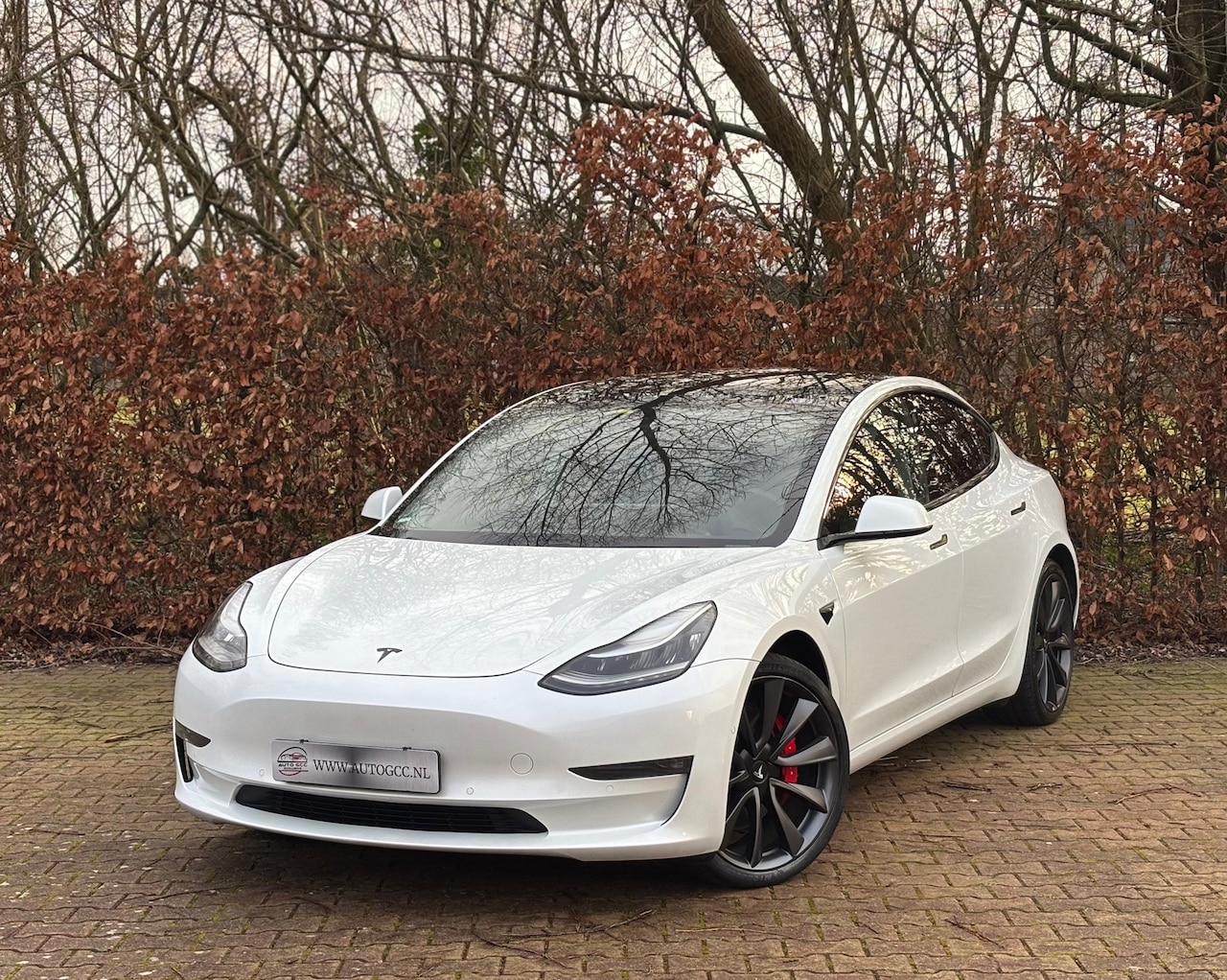 Tesla Model 3 - PERFORMANCE AWD 75kWh PANO NAP BTW - AutoWereld.nl