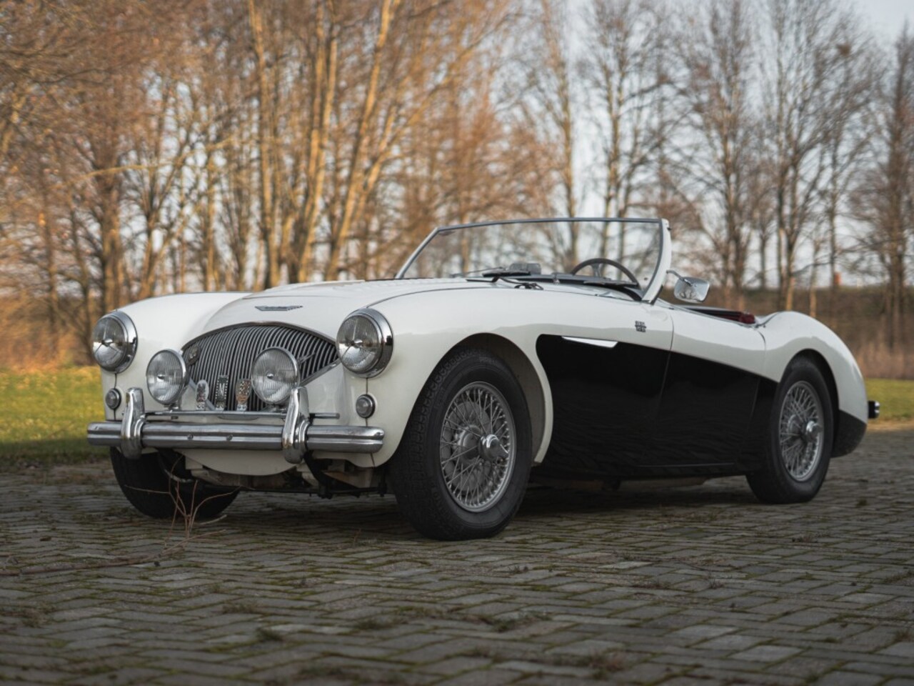 Austin Healey - Le Mans - AutoWereld.nl