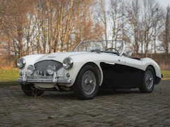 Austin Healey - 100/4 Le Mans