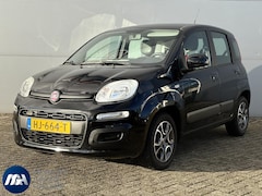 Fiat Panda - 1.2 Edizione Cool I Airconditioning I Lichtmetalen Velgen I Dealer Onderhouden