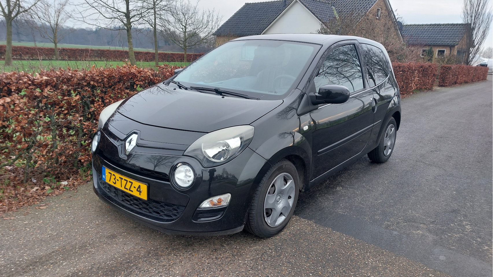 Renault Twingo - 1.2 16V Collection AIRCO 121813 KM BJ 2012 - AutoWereld.nl