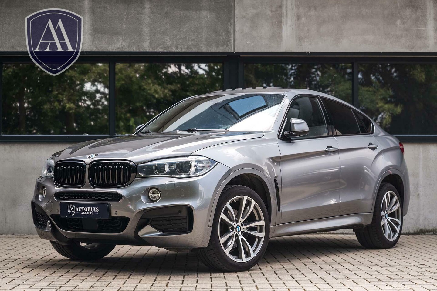 BMW X6 - xDrive30d M Sport H&K Pano ACC HuD Virtual Comfortseats - AutoWereld.nl