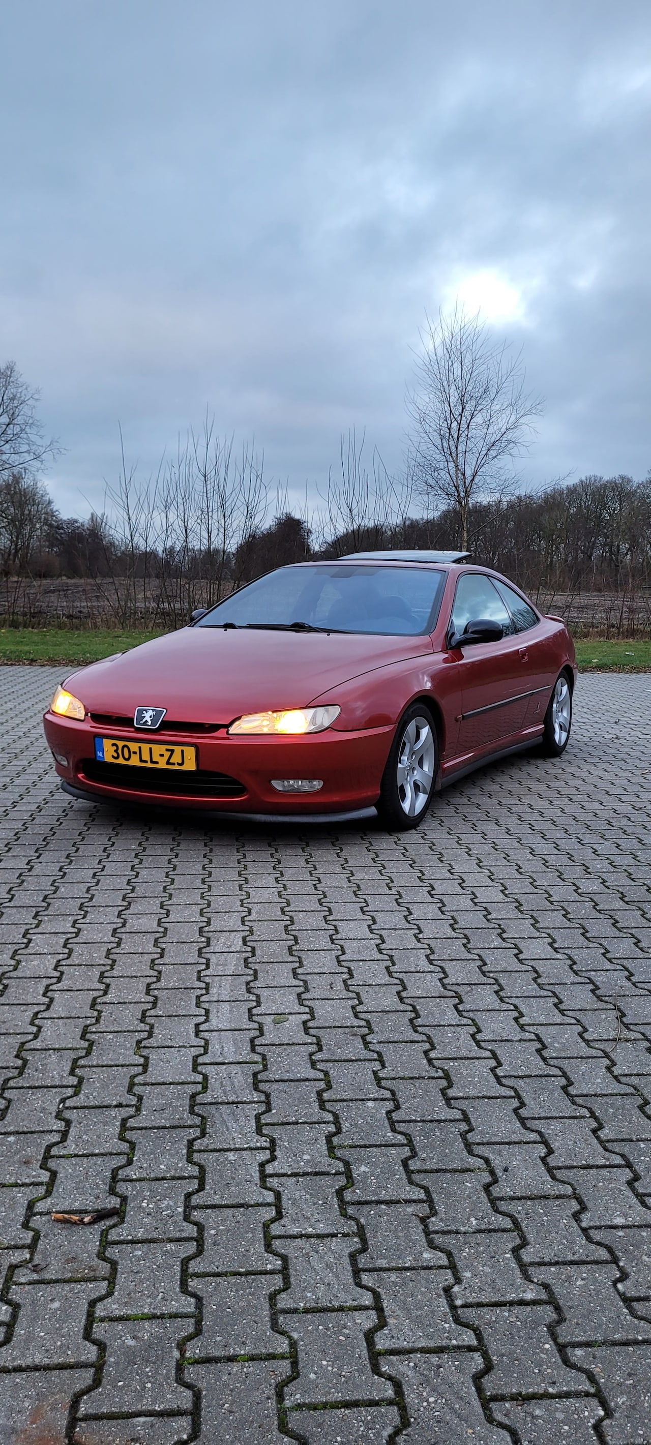 Peugeot 406 Coupé - 2.2-16V - AutoWereld.nl