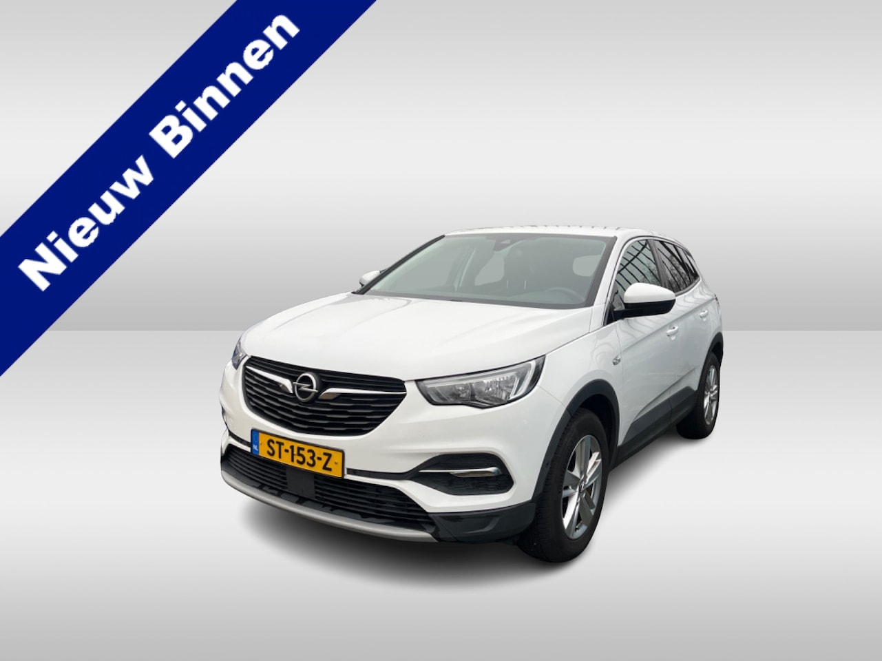 Opel Grandland X - 1.2 Turbo Business Executive / Trekhaak / DAB+ / Parkeersensoren / Led verlichting / Navig - AutoWereld.nl