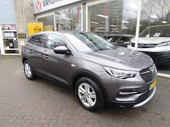 Opel Grandland X - Turbo 130pk Business Navi, Camera, trekhaak