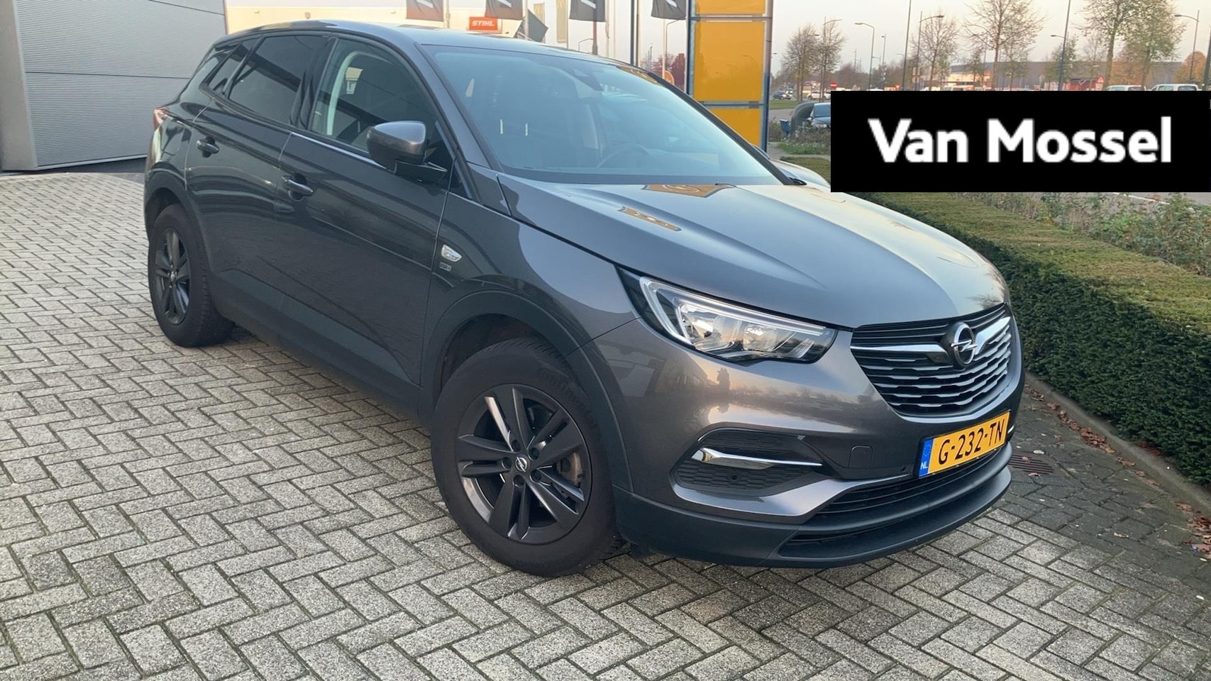 Opel Grandland X - 1.2 Turbo 120 Jaar Edition 1.2 Turbo 120 Jaar Edition - AutoWereld.nl