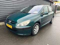 Peugeot 307 - 1.6-16V XT AUTOMAAT Rijdt Goed NIEUWE APK