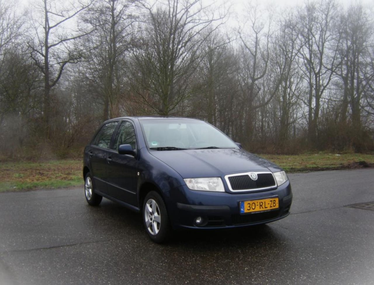 Skoda Fabia - 1.4-16V Elegance . 5 Drs . airco . Elec ramen . APK tot 2026 - AutoWereld.nl