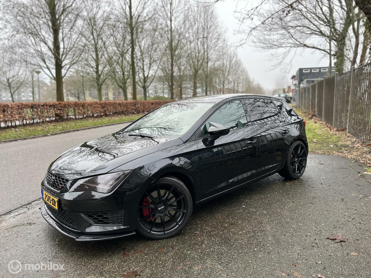 Seat Leon - 2.0 TSI Cupra 280 / 375 PK / Dealer onderhouden / - AutoWereld.nl