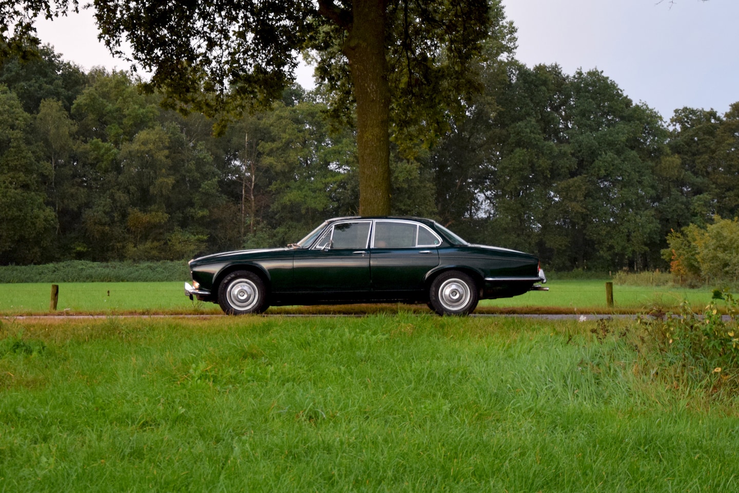 Daimler Sovereign - 4.2 Daimler 4.2 Sovereign Series 1 Dark Green 133074km - AutoWereld.nl