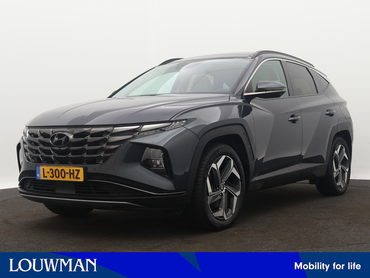 Hyundai Tucson - 1.6 T-GDI HEV Premium Sky | Navigatie | Voorstoelen verwarmd | Stuurwiel verwarmd  | Trekh - AutoWereld.nl