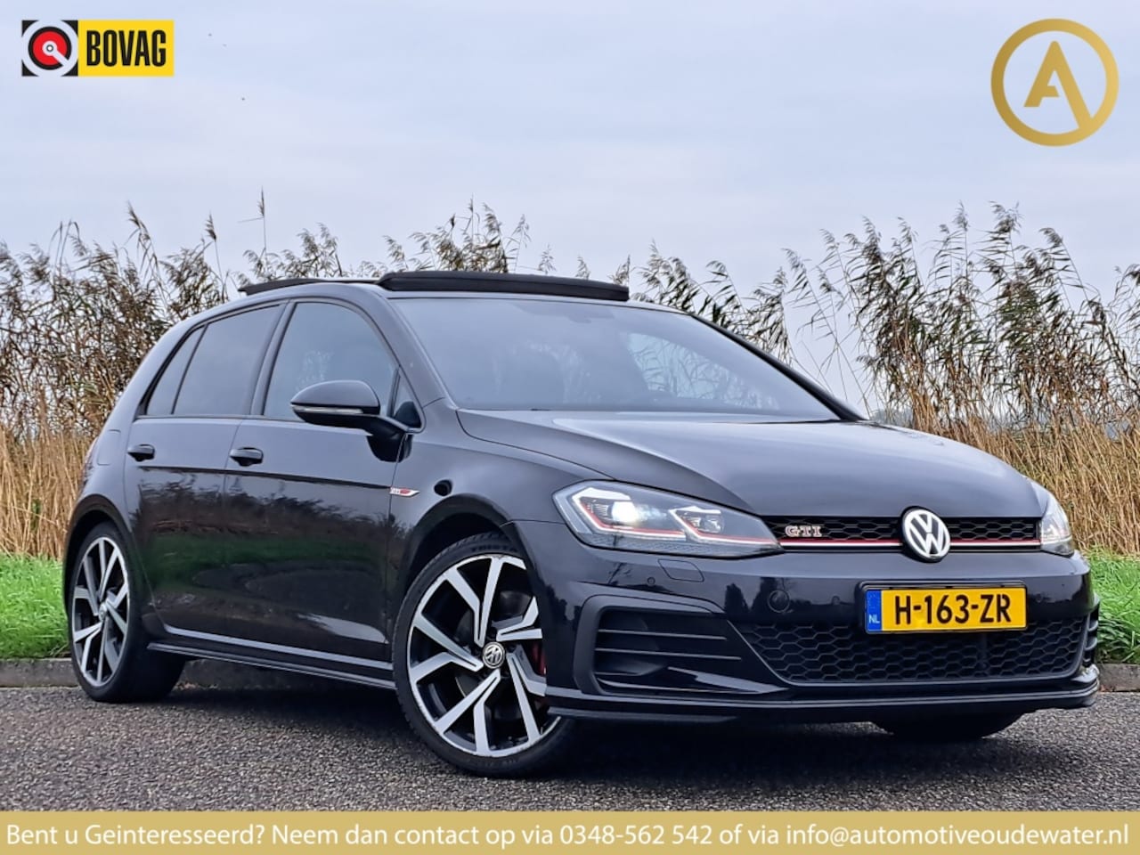 Volkswagen Golf - 2.0 TSI GTI Perf. | PANO | ACC | LEDER | LMV | LED | NAVI | ALAR - AutoWereld.nl