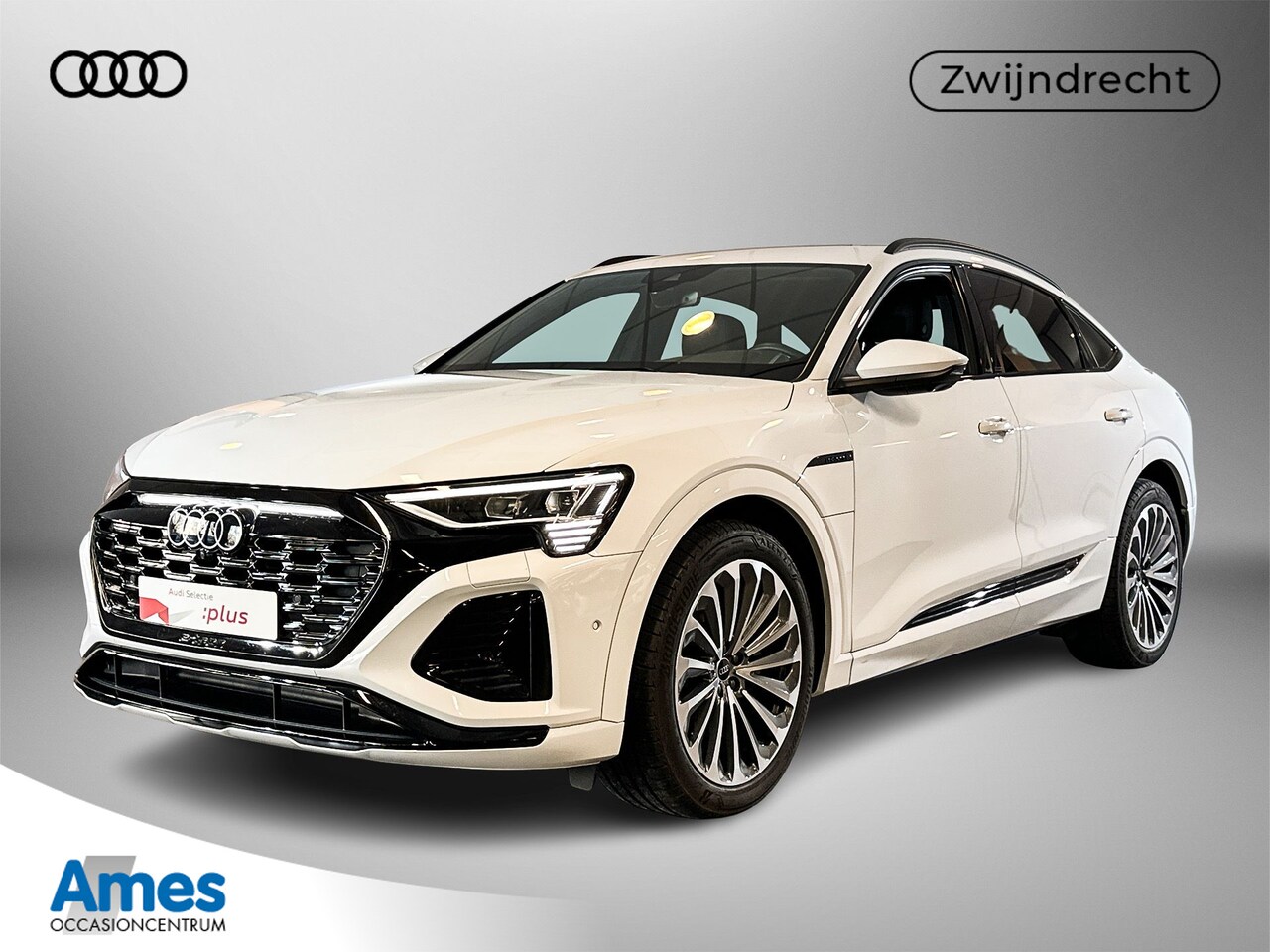 Audi Q8 e-tron - Sportback 55 408pk quattro S Edition 115 kWh / Singleframe-projectielicht / Parkeerassiste - AutoWereld.nl