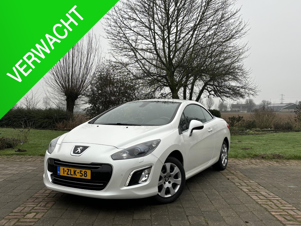 Peugeot 308 CC - 1.6 THP Roland Garros 1.6 THP Roland Garros - AutoWereld.nl