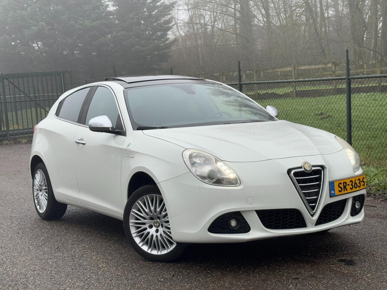 Alfa Romeo Giulietta - 1.4 T Distinctive /Pano/Airco/Sport velgen/ - AutoWereld.nl