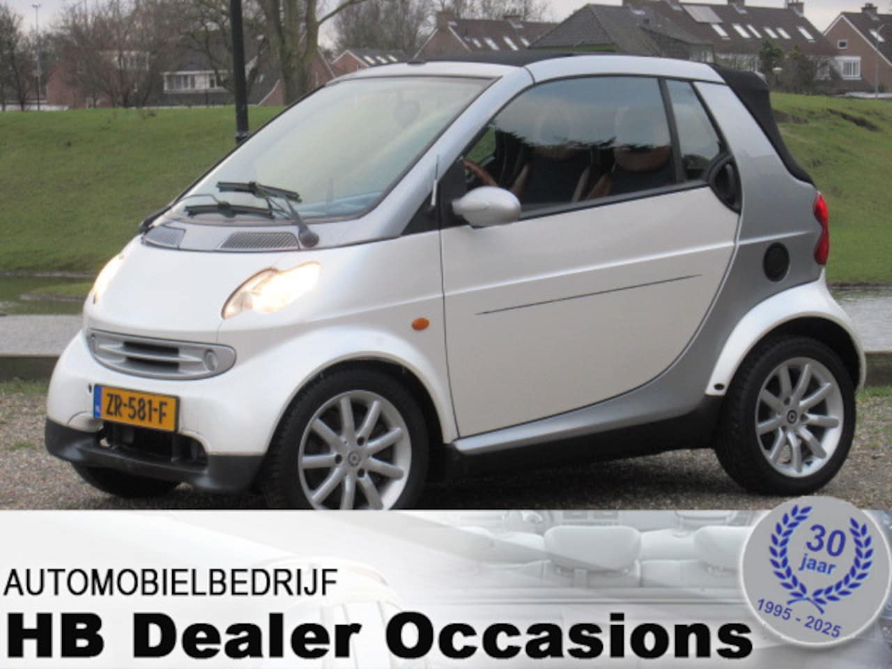 Smart Cabrio - cabrio & passion - Airco - Leer - AutoWereld.nl