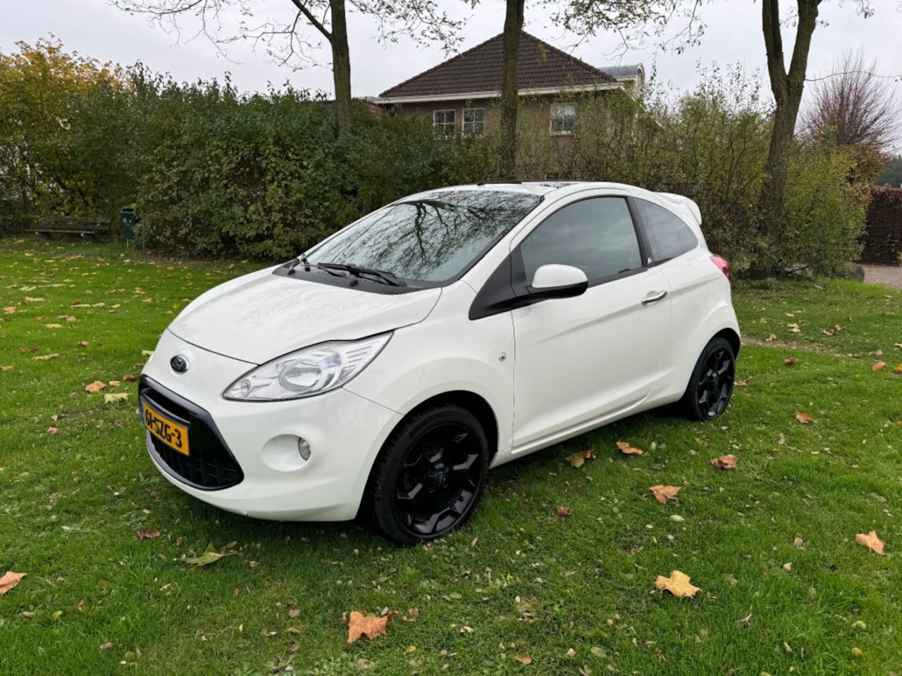 Ford Ka - 1.2 individual - panorama dak - ecc - complete historie! - AutoWereld.nl