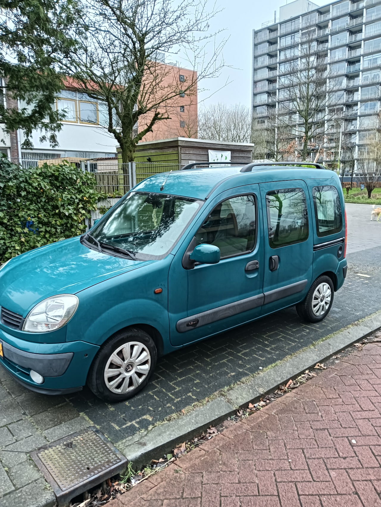 Renault Kangoo - 1.2-16V Privilège - AutoWereld.nl