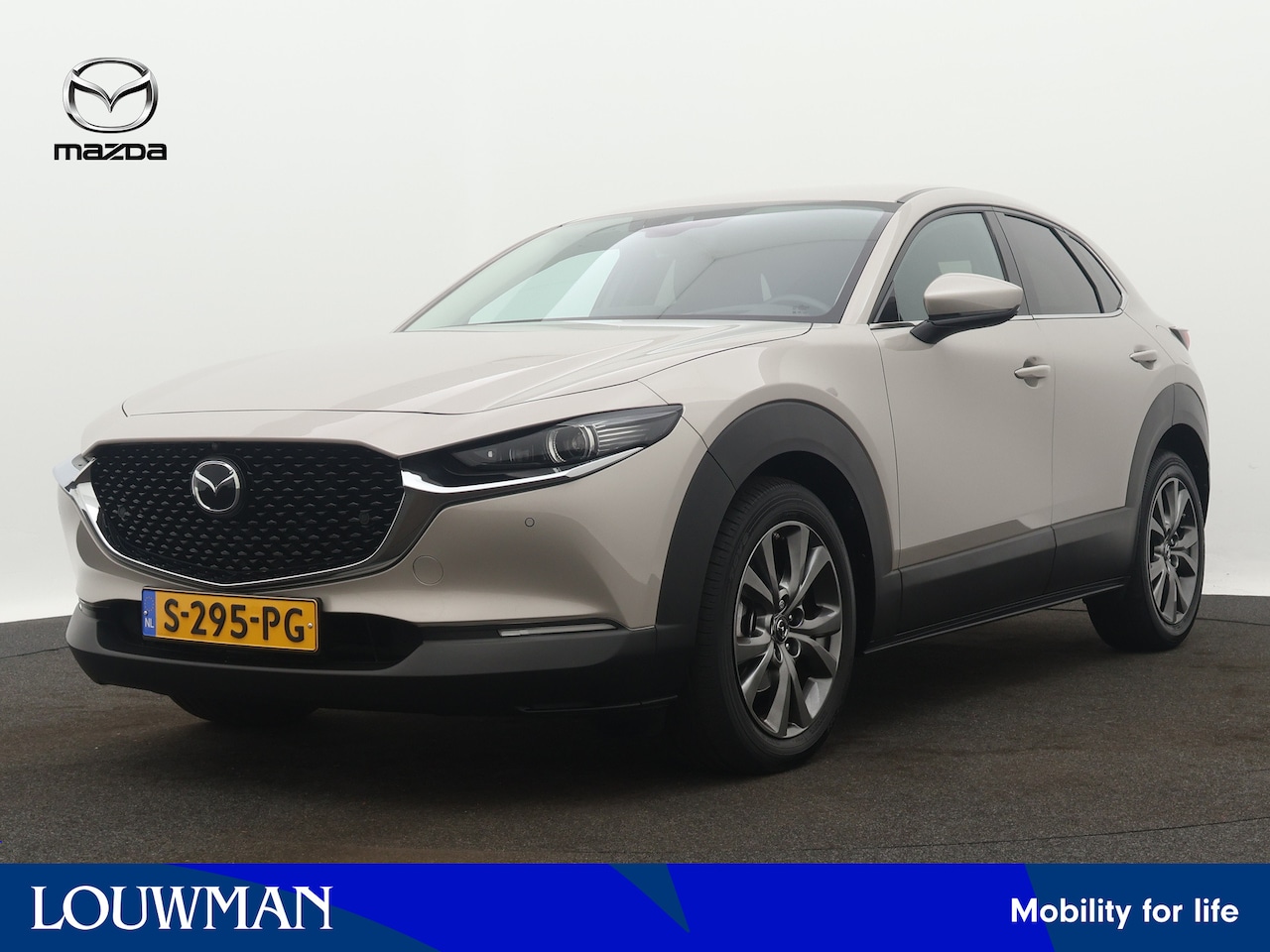 Mazda CX-30 - 2.0 e-SkyActiv-X M Hybrid Luxury | 360 Camera | Parkeersensoren | Stoel en stuurwiel verwa - AutoWereld.nl