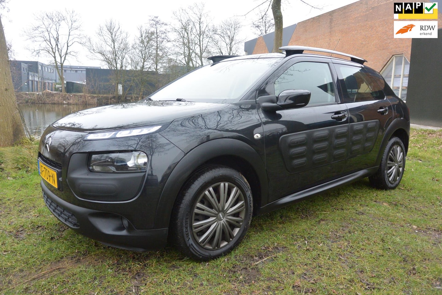 Citroën C4 Cactus - 1.2 PureTech Business Plus*airco*cruise*camera - AutoWereld.nl