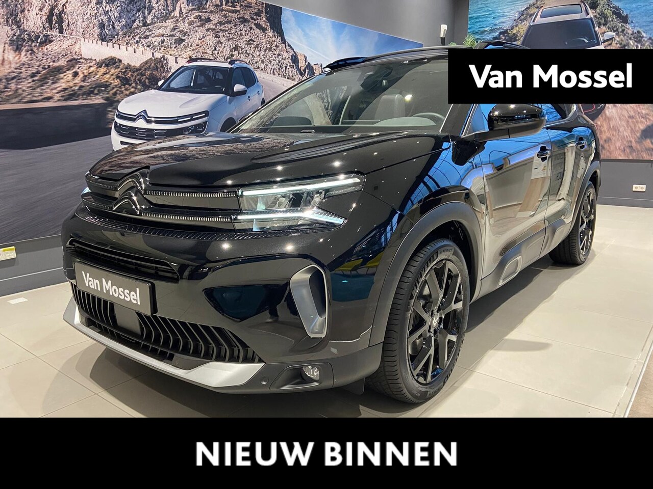 Citroën C5 Aircross - 1.6 Plug-in Hybrid ë-Series SCHUIFDAK | PACK BLACK | EL. ACHTERKLEP | ADAPT. CRUISE - AutoWereld.nl