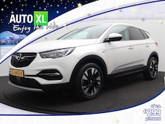 Opel Grandland X - 1.2 Aut. Turbo Business Exe. Camera Dodehoek 18' LMV