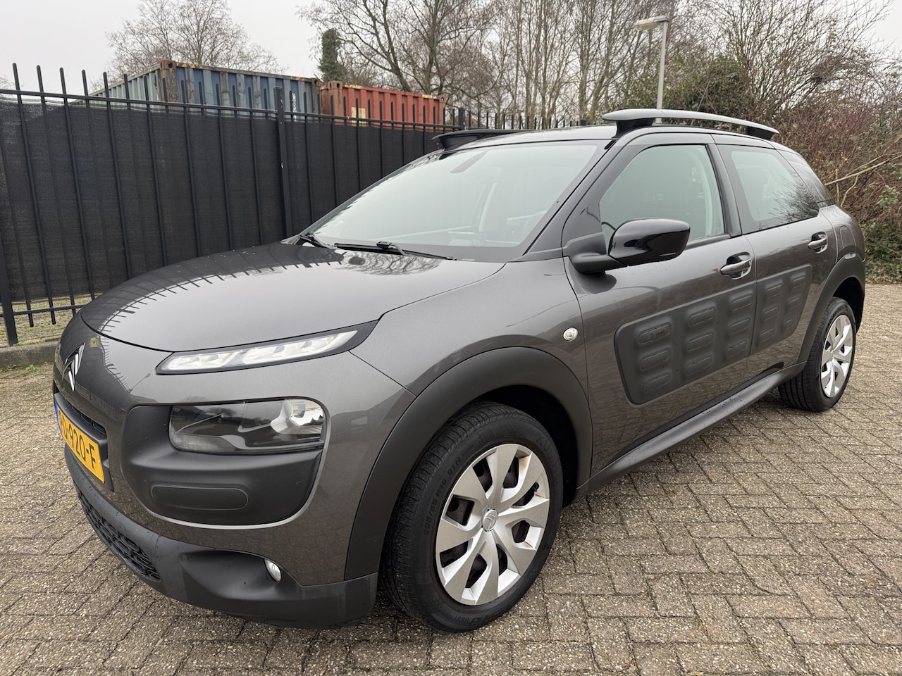 Citroën C4 Cactus - 1.2 PureTech Business Clima/Cruise - AutoWereld.nl