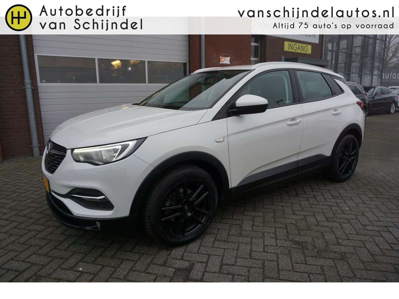 Opel Grandland X - 1.2 TURBO BUSINESS EXECUTIVE KEURIGE NETTE STAAT LET OP MOTOR VERBRUIKT WEL OLIE! NAVI AND - AutoWereld.nl