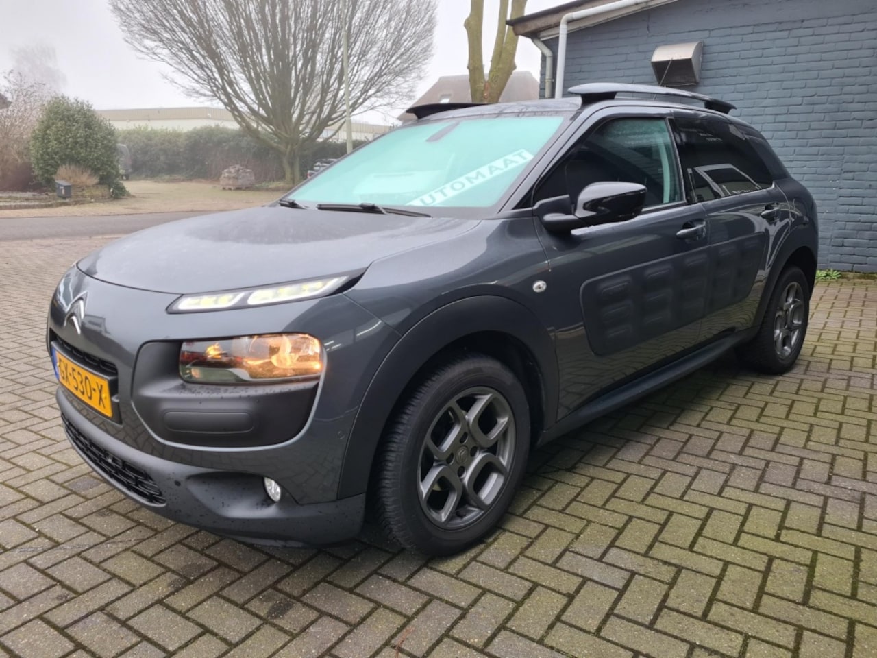 Citroën C4 Cactus - 1.2 e-VTi Shine 1.2 e-VTi Shine - AutoWereld.nl