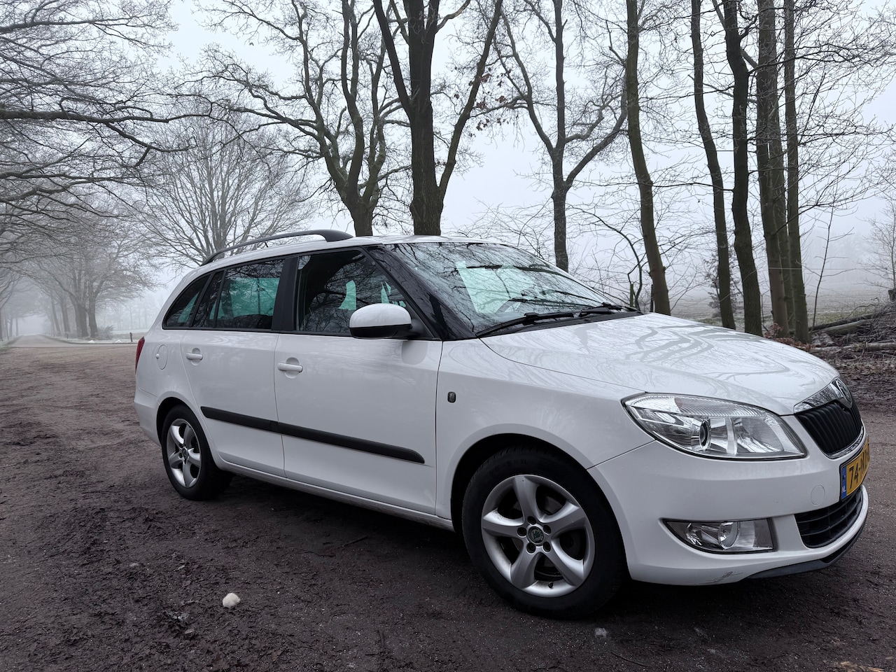 Skoda Fabia Combi - 1.2 TDI Greenline - AutoWereld.nl