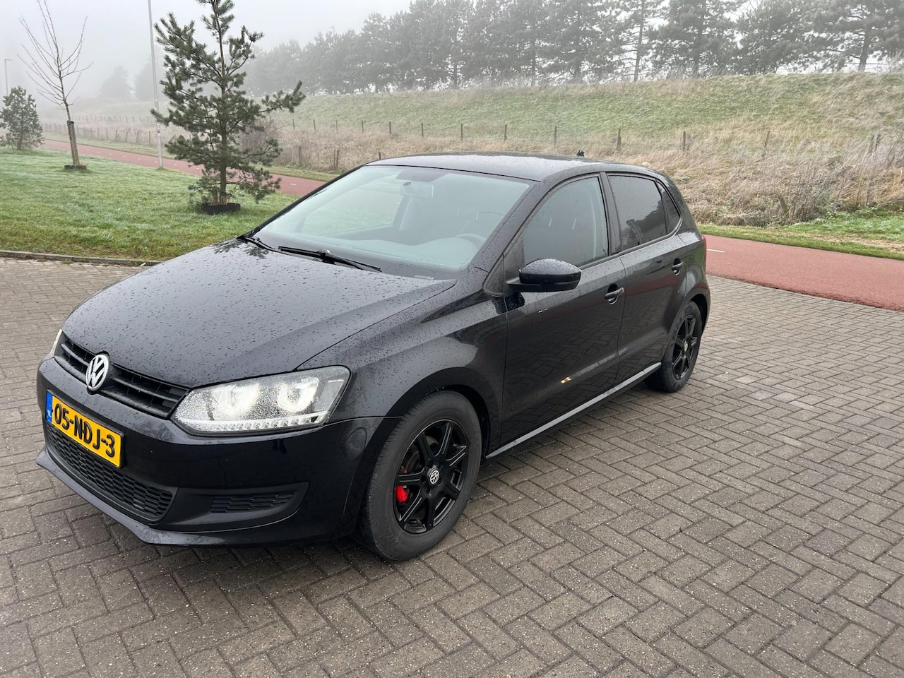 Volkswagen Polo - 1.6 TDI Comfortline 5D Bj 2010 Airco - AutoWereld.nl