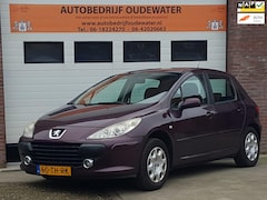 Peugeot 307 - 1.6-16V XS