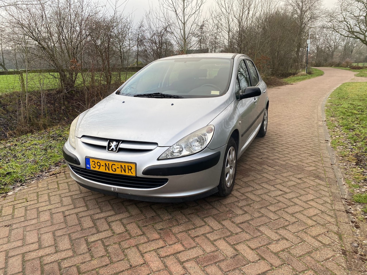 Peugeot 307 - 1.6-16V XS - AutoWereld.nl