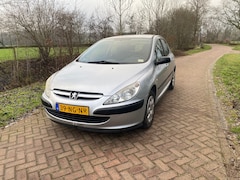 Peugeot 307 - 1.6-16V XS