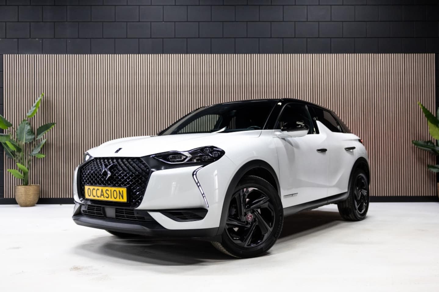 DS 3 Crossback - 1.2 PureTech 130 Performance | Keyless | LED | - AutoWereld.nl