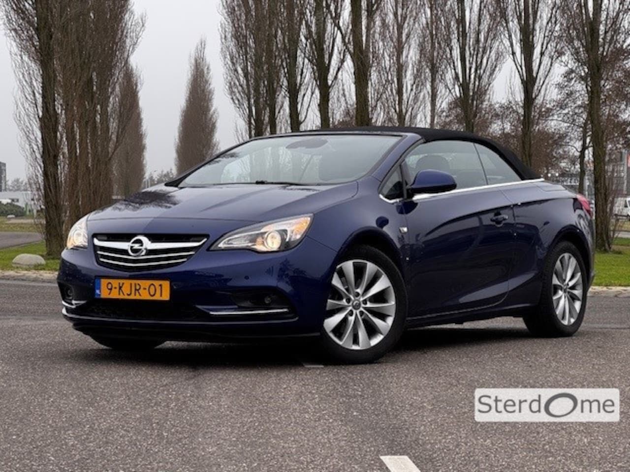 Opel Cascada - 1.4 Turbo ecoFLEX Cosmo l Cruise Controle l Airco l Parkeersensoren l Elektrisch bedienbar - AutoWereld.nl