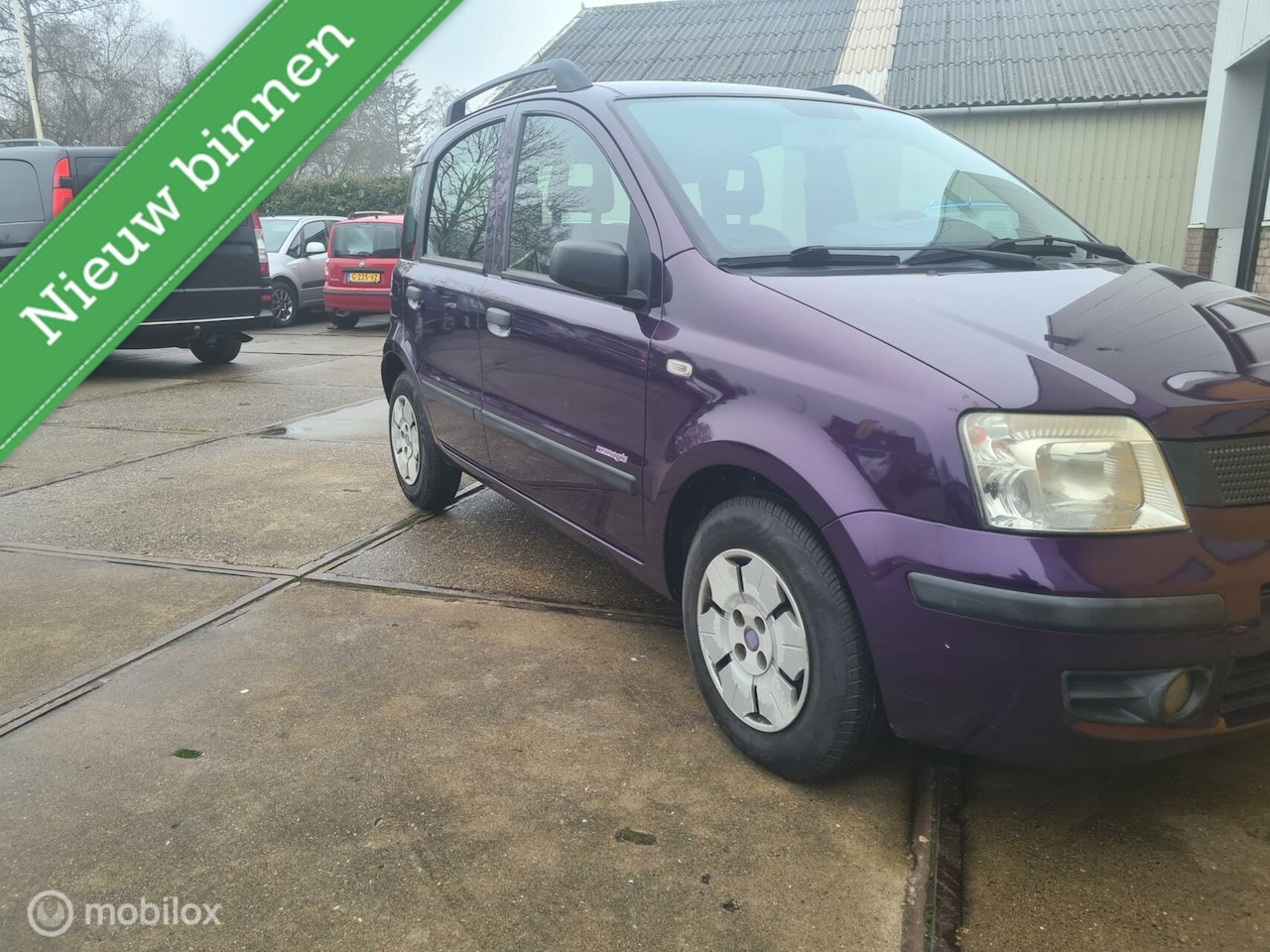 Fiat Panda - 1.1 Actual BJ 11-2008 128909 KM NAP - AutoWereld.nl