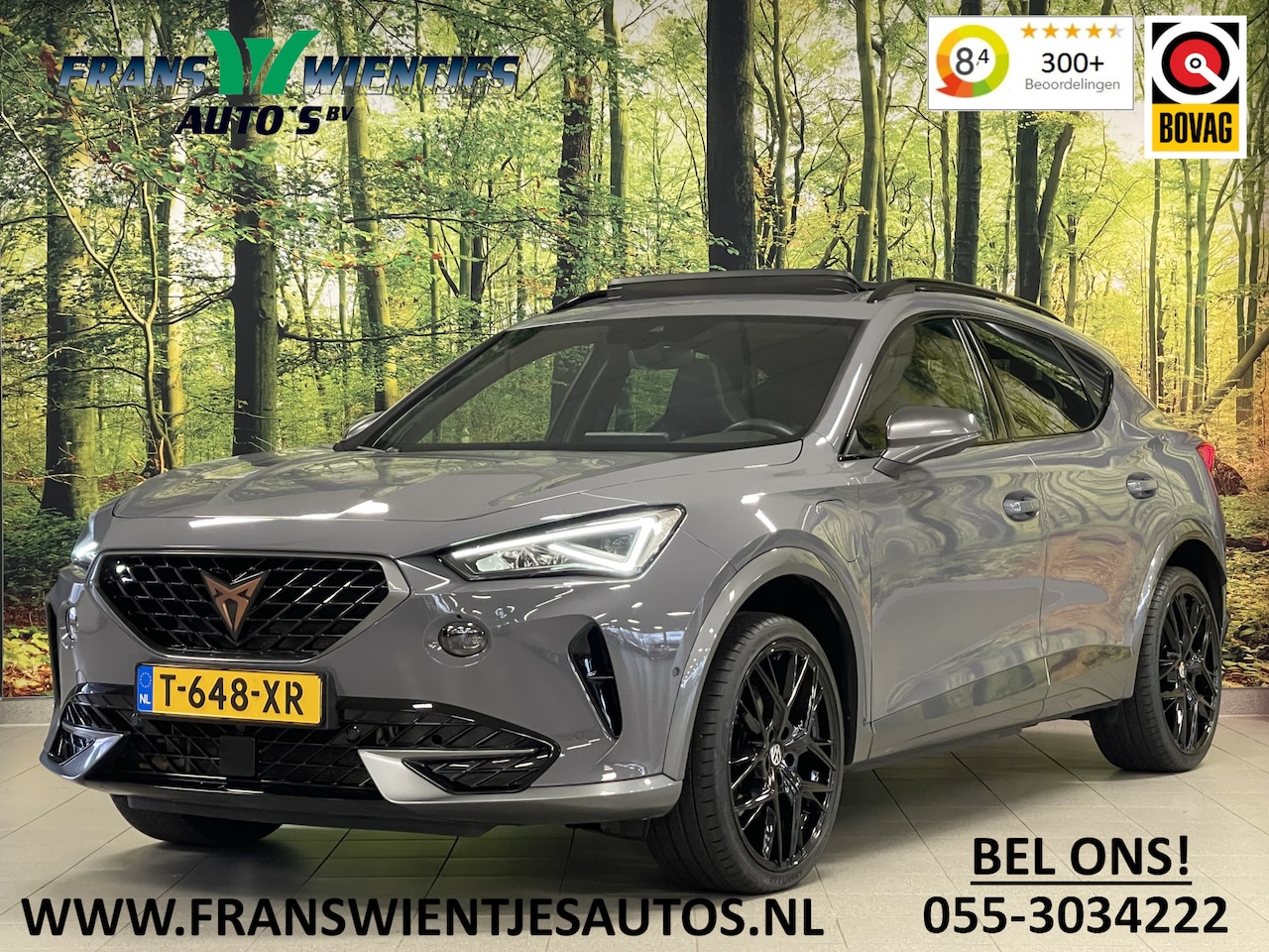 CUPRA Formentor - 1.4 e-Hybrid Business | Apple Carplay | Panoramadak | Achteruitrijcamera | Keyless Entry | - AutoWereld.nl