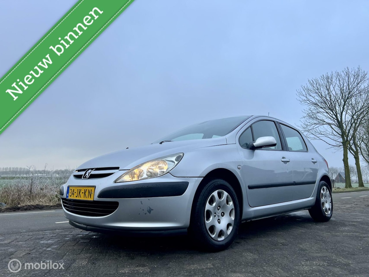 Peugeot 307 - 1.6-16V Gentry 1.6-16V Gentry, BJ 2002, Airco, APK, Zuinig, NAP - AutoWereld.nl