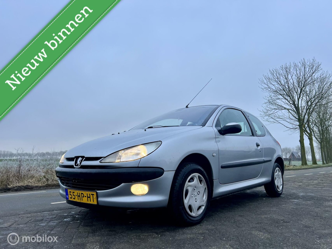 Peugeot 206 - 1.4 Gentry 1.4 Gentry, 156000 km NAP, Automaat, Airco, APK - AutoWereld.nl