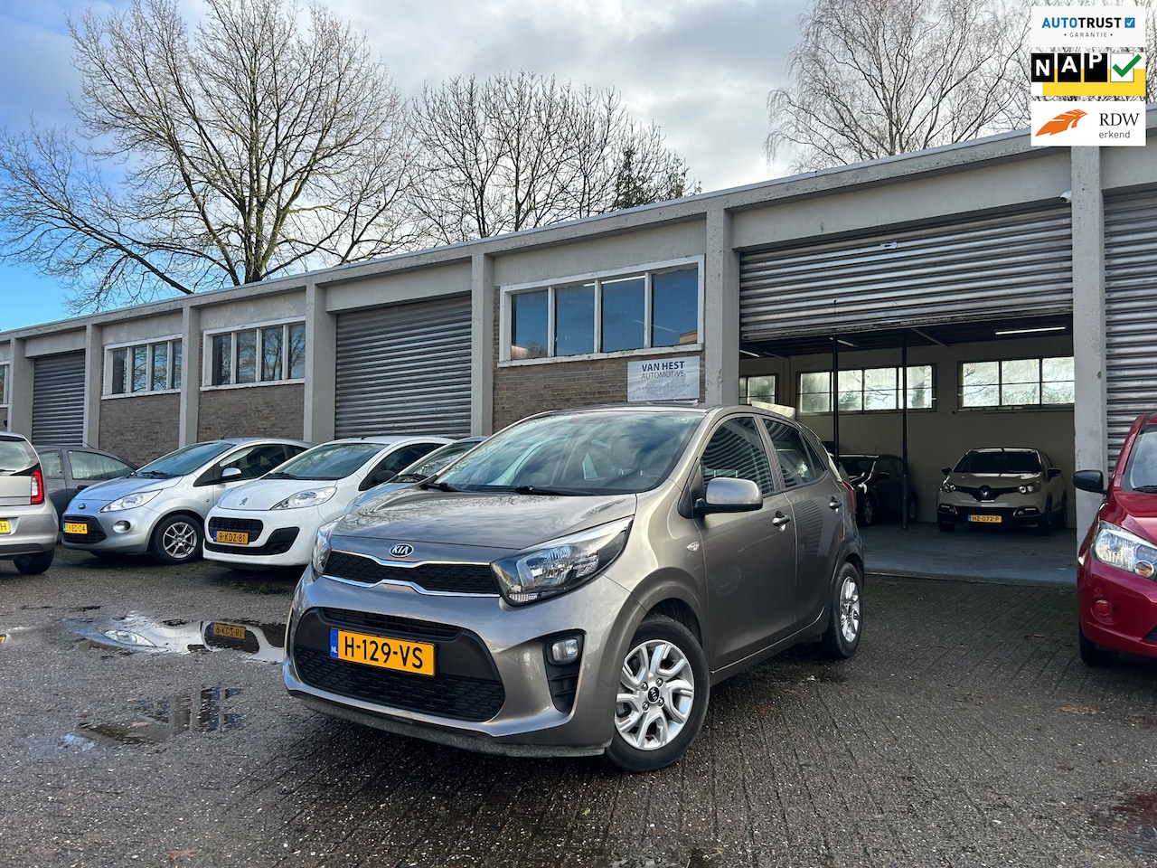 Kia Picanto - 1.0 DynamicPlusLine Navi/Cruise/parkeercamera/LM velgen! 1e eigenaar! - AutoWereld.nl