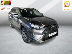 Toyota RAV4 - 2.5 Hybrid AWD Team D, BSM, PDC