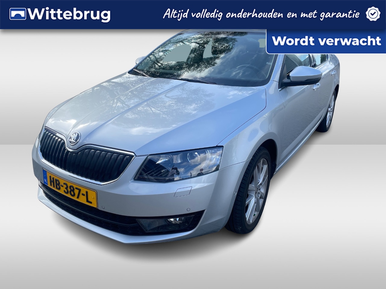 Skoda Octavia - 1.2 TSI Greentech Style Businessline / Navi / Canton Sound / Parkeersensoren V+A / Climate - AutoWereld.nl