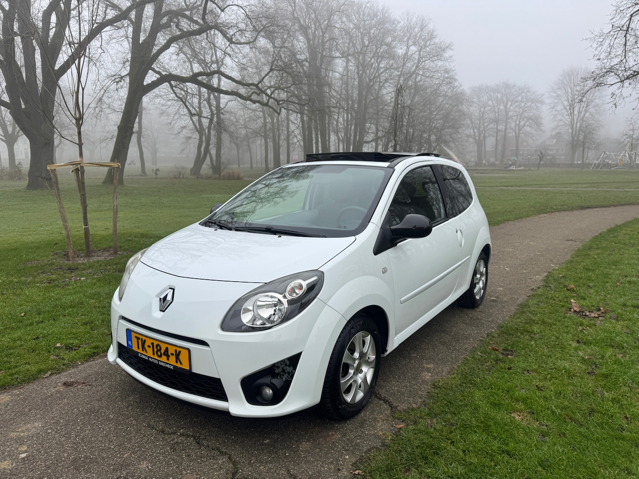 Renault Twingo - 1.2-16V Night & Day Panoramadak 2009 - AutoWereld.nl