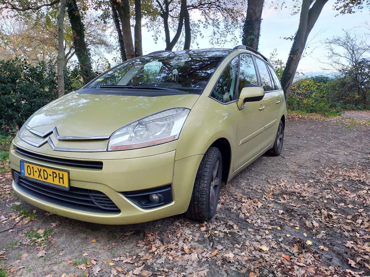 Citroën Grand C4 Picasso - 2.0-16V Ambiance 7p. - AutoWereld.nl