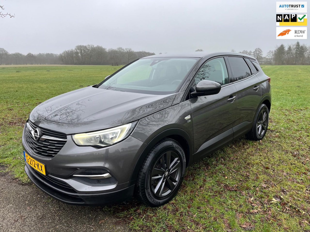 Opel Grandland X - 1.2 Turbo Edition Airco / Navi / Led / NAP - AutoWereld.nl