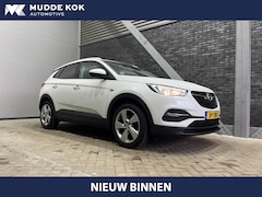 Opel Grandland X - 1.2 Turbo Business + | Trekhaak | Camera | Getint Glas | Apple Carplay