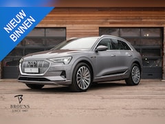 Audi e-tron - 55 quattro Business edition Plus 95 kWh 408pk *Panorama-360gr-Trekh