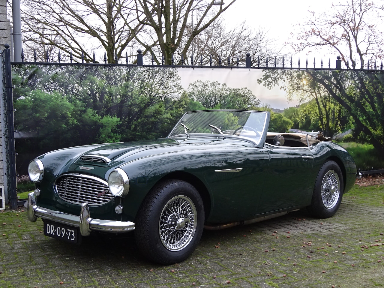 Austin Healey - 3000 Mk1 BN7 - AutoWereld.nl