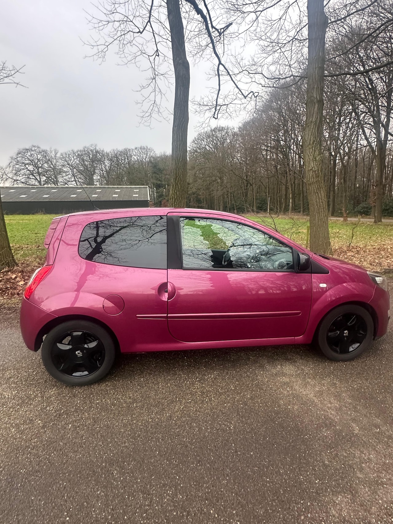 Renault Twingo - 1.2-16V Dynamique - AutoWereld.nl